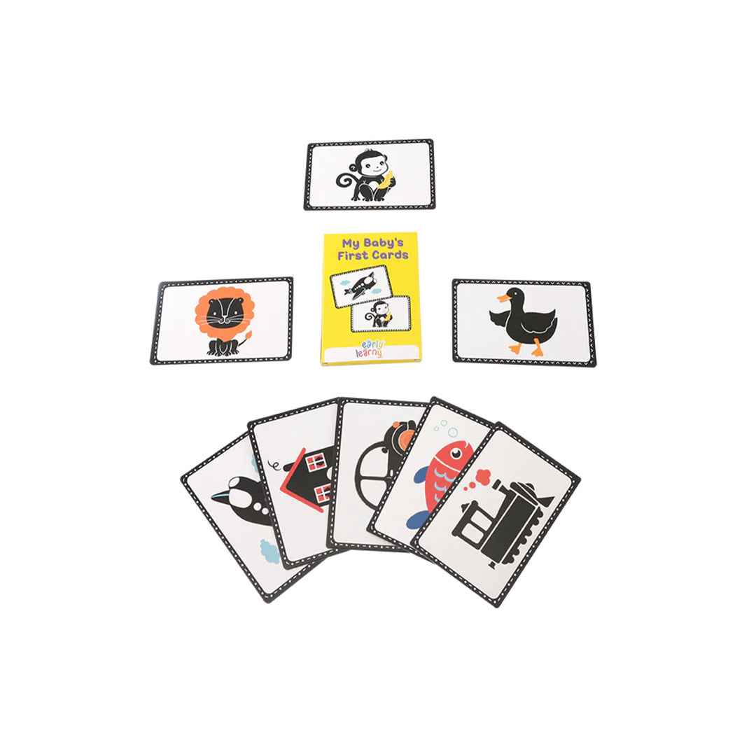 EarlyLearny Activity & Development Set - 9th Month Kit