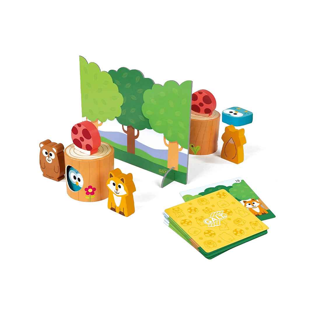 Galt Toys Memory Friends