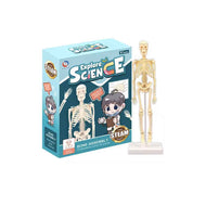 Human Skeleton Model Kit - Educational Science Toy for Kids