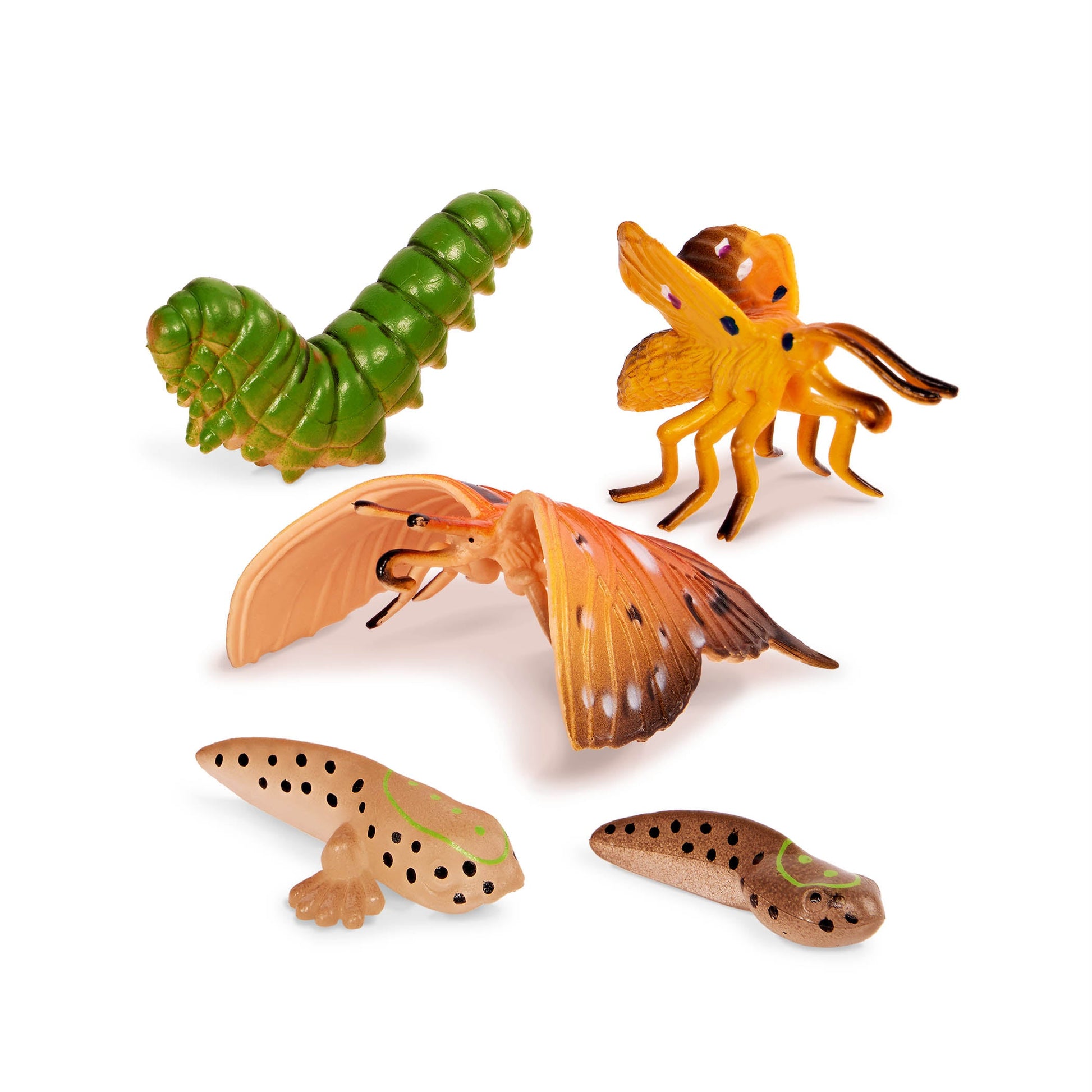 Terra Metamorphosis Animals Set - 10 Piece Transforming Animal Figures for Kids