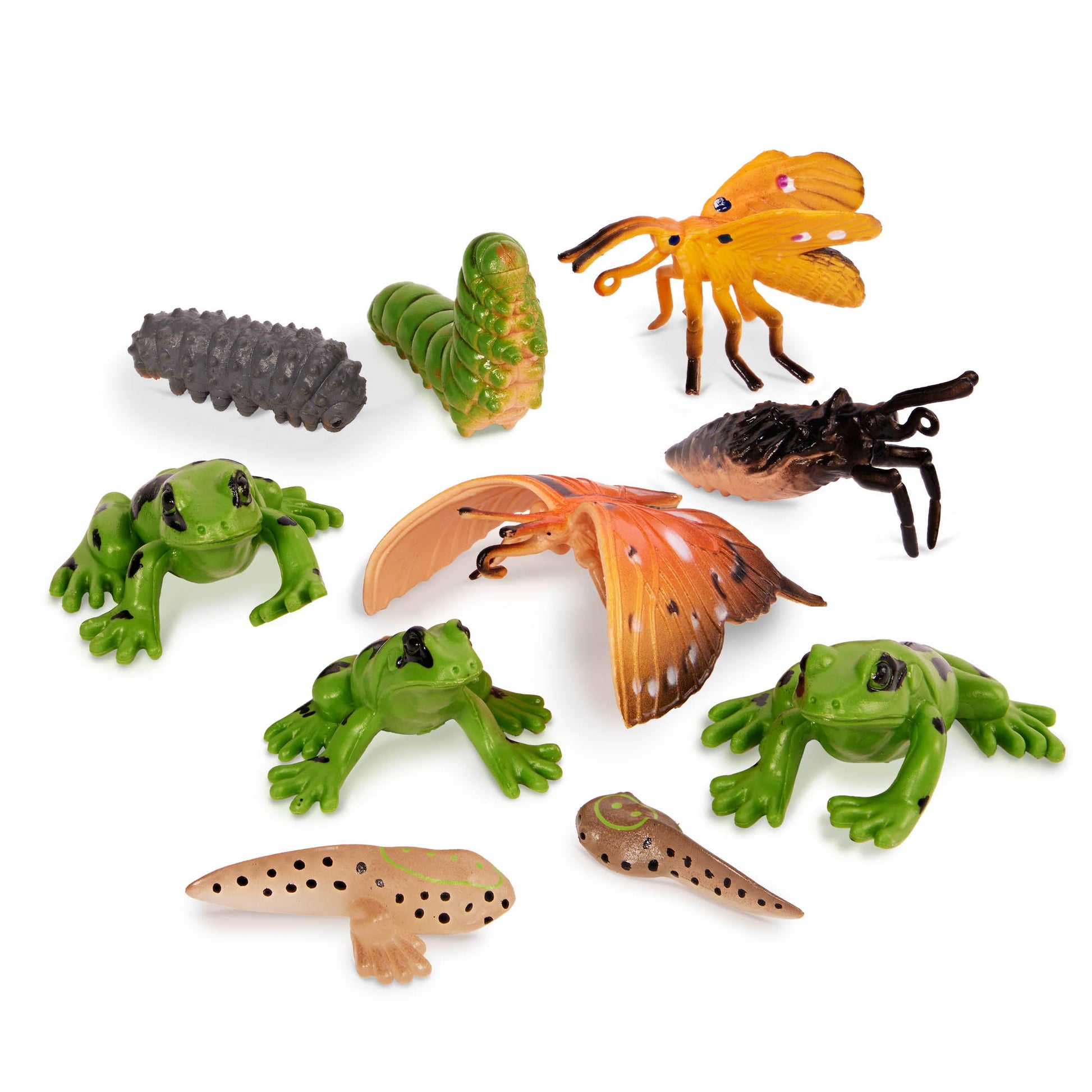 Terra Metamorphosis Animals Set - 10 Piece Transforming Animal Figures for Kids