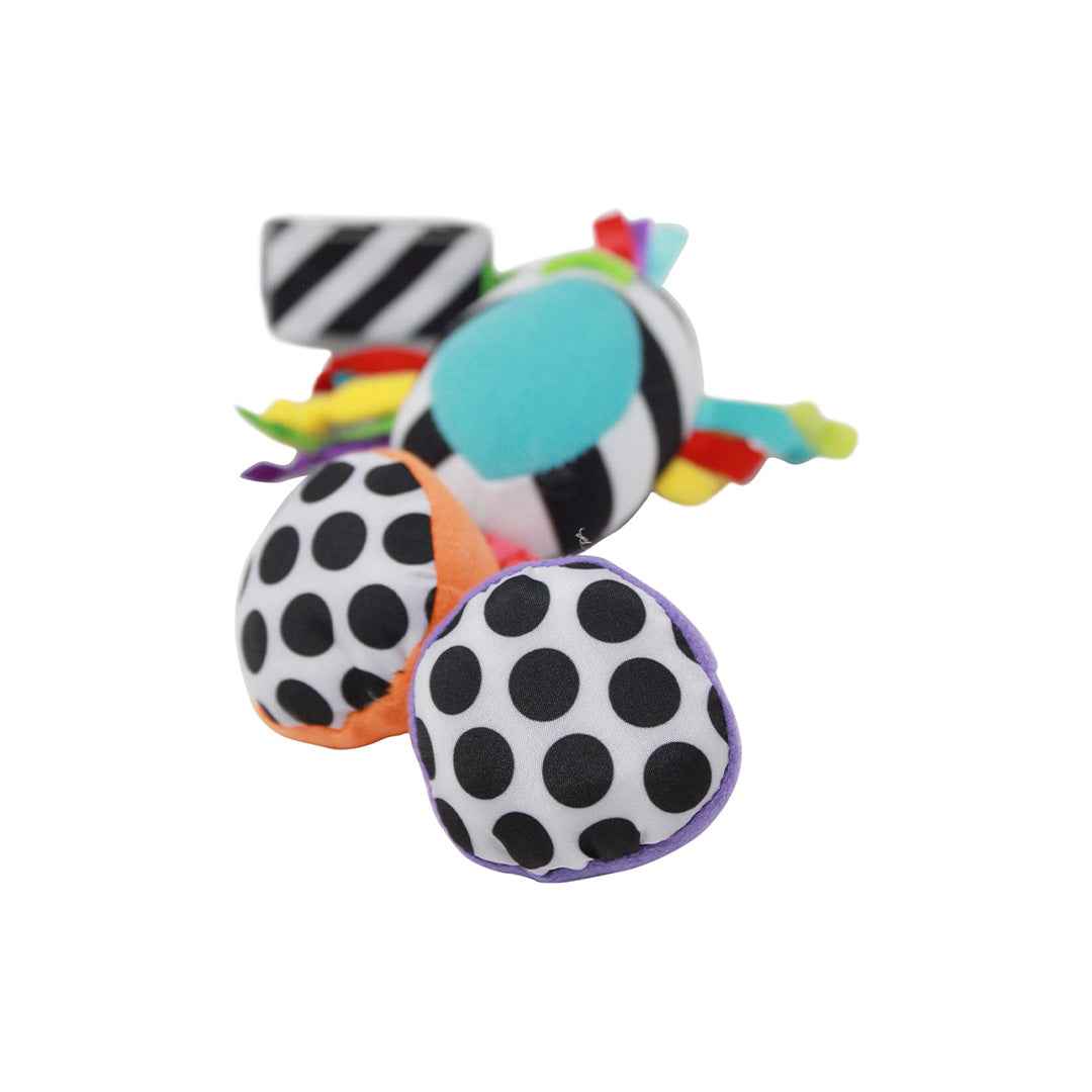 Sassy Boppin Birdie Sensory Toy