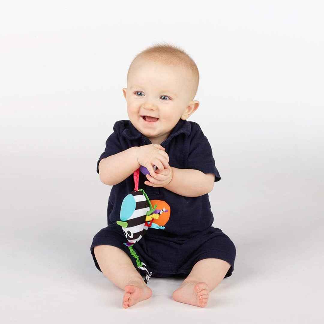 Sassy Boppin Birdie Sensory Toy