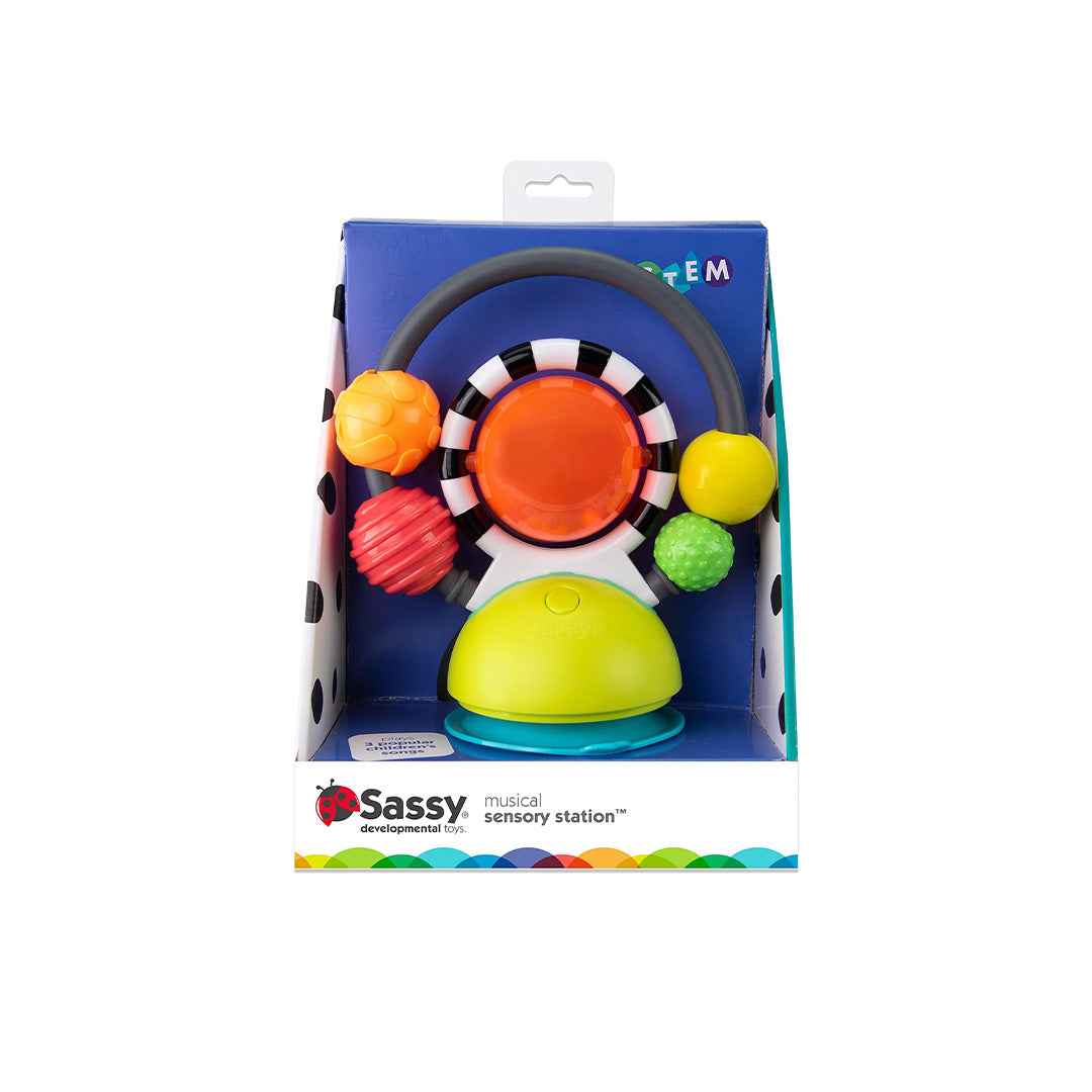 Sassy Musical Sensory Station 2-in-1