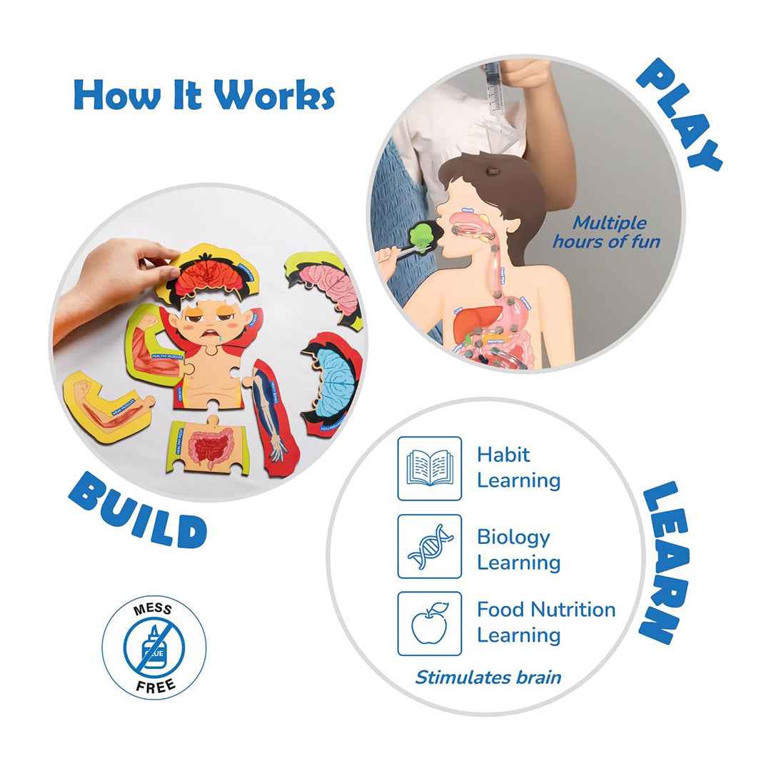 Smartivity Food Body & Nutrition | 5-in-1 STEM Kit