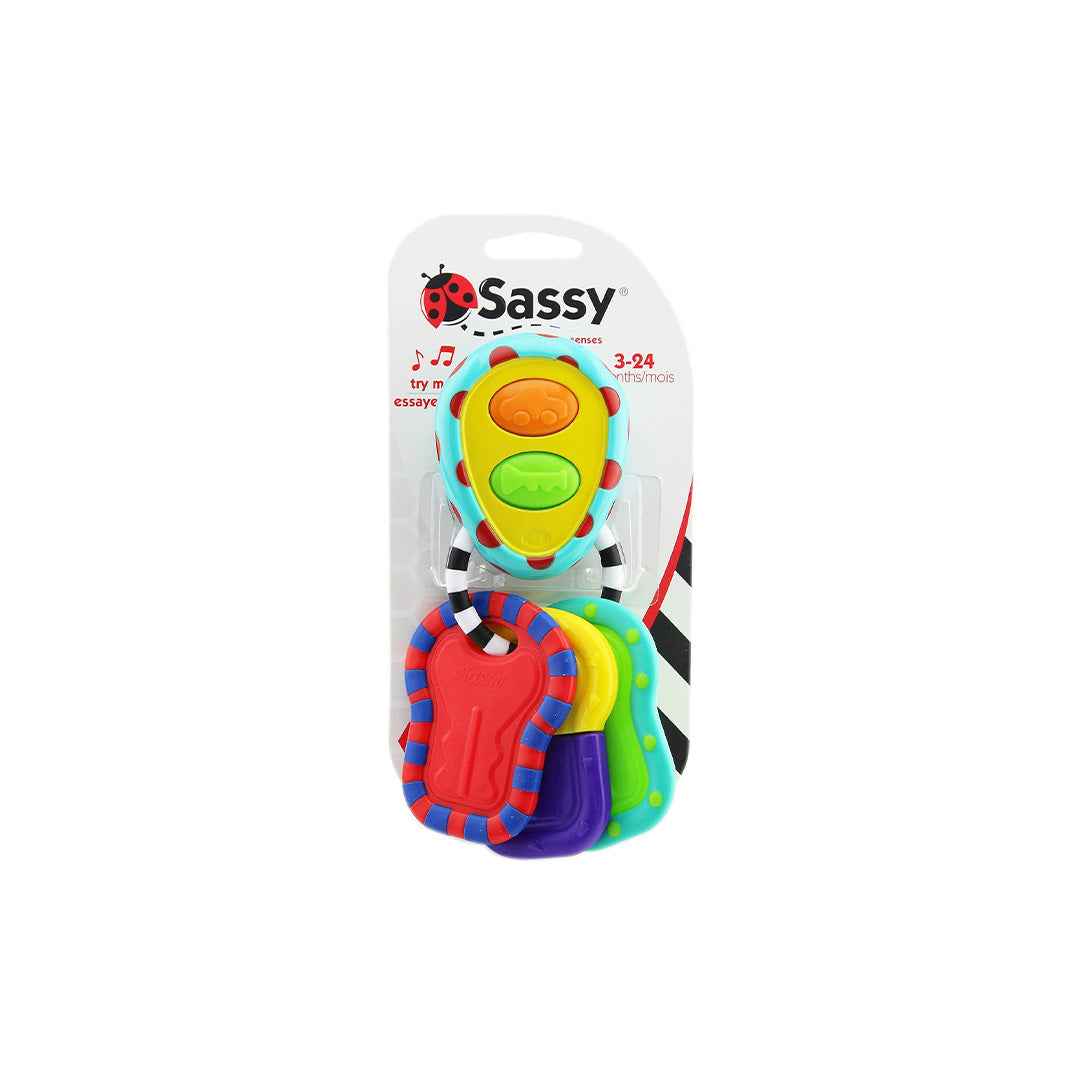 Sassy Tactile Tunes Keys Rattle & Teether Toy